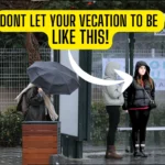Beachfront view of Pattaya city with clear blue sky, palm trees, and calm sea, showing the ideal weather and relaxed vibe that make Pattaya one of Thailand’s top destinations in 2025