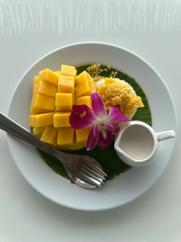 Mango sticky rice dessert with coconut milk in Thailand
